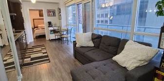 Furnished 1 bedroom condo for rent - Photo 2