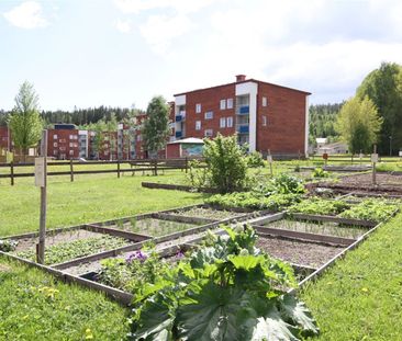 Midälvavägen 52 - Photo 4