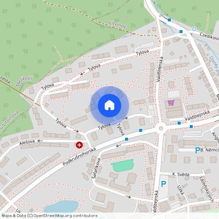 ulice Tylova, Litvínov – část obce Horní Litvínov