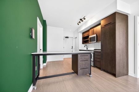 For Lease - 560 Rideau Street Unit# 1405, Lower Town - Sandy Hill, Ontario - Photo 4