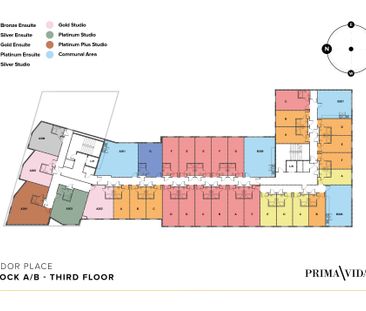 Gold Studio - Photo 6