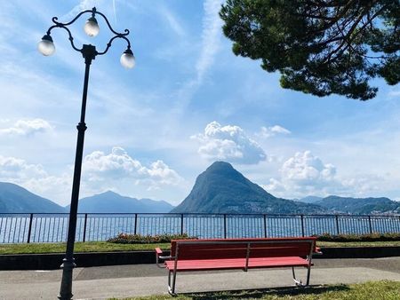 2-ROOM APARTMENT IN VIGANELLO (TI), FURNISHED - Photo 4