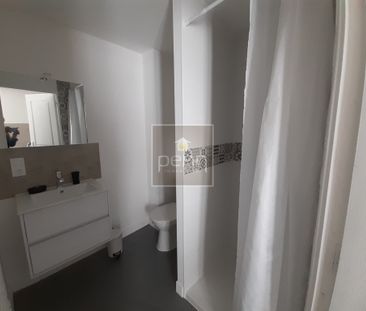 Location Appartement 1 pièce 27m² LA GUERCHE DE BRETAGNE 35130 - Photo 6