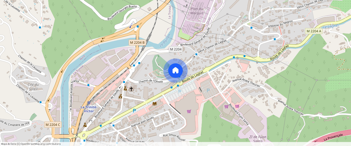 1 CHEMIN DE L'OLIVAIE, LA TRINITE