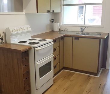 Partially renovated pet friendly family home - Photo 6