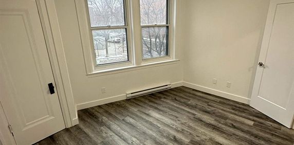 1 CH - 1 SDB - Montréal - $1,650 /mo - Photo 2