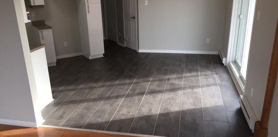 Appartement 4.5 a louer Levis Québec - Photo 2