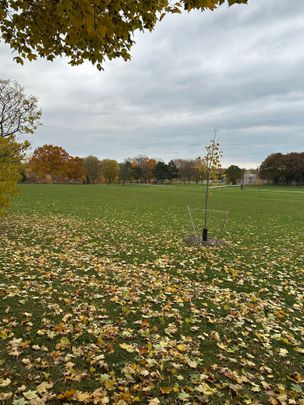 For Lease - 41 Mississauga Valley Boulevard Unit# 15, Mississauga, Ontario - Photo 1