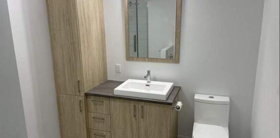 4 1/2 À LOUER-SAINT-CHARLES-BORROMÉE-APPARTEMENT À LOUER - Photo 2