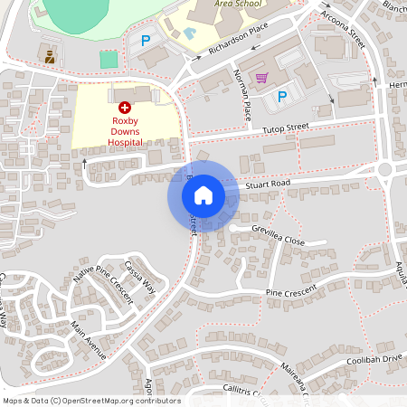 41 Burgoyne St, SA 5725, Roxby Downs