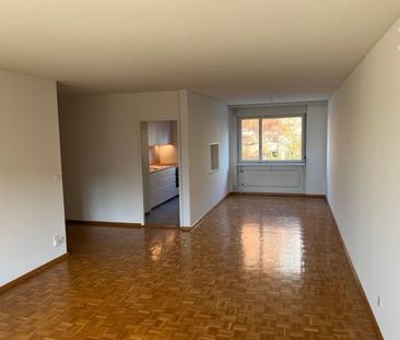 Helle 4 1/2 Zimmer-Wohnung an ruhiger Lage in Zürich Albisrieden - Photo 2