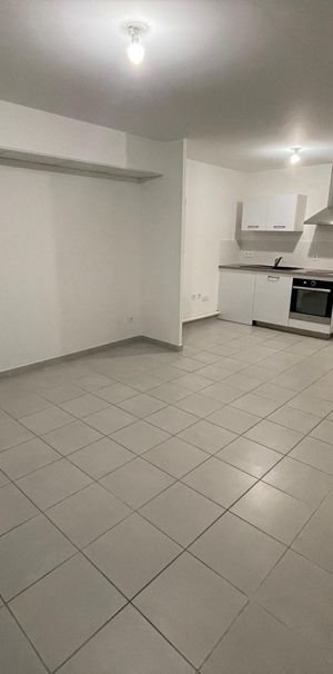 Location Appartement 2 pièces 42m² CHEVIGNY ST SAUVEUR 21800 - Photo 2