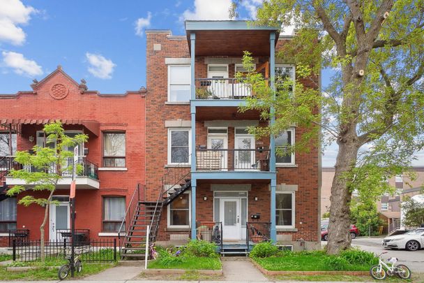 Condo for rent, Montréal (Rosemont/La Petite-Patrie) - Photo 1