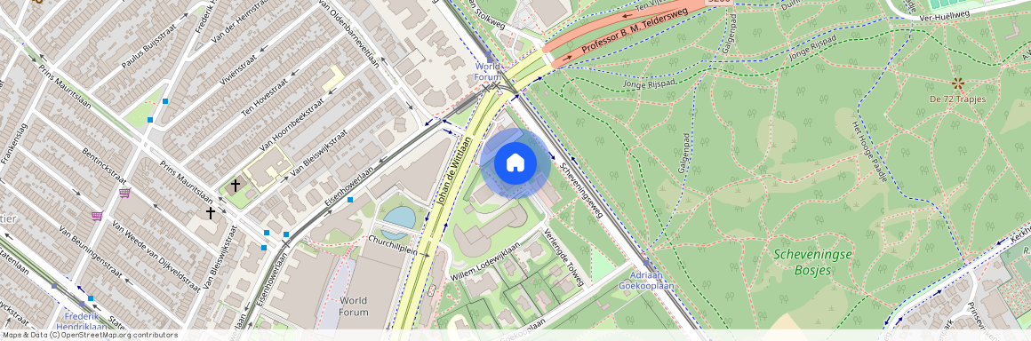 Jan Willem Frisohof, 2517LA, Den Haag