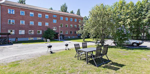 Skolgatan 95, Umeå - Photo 2