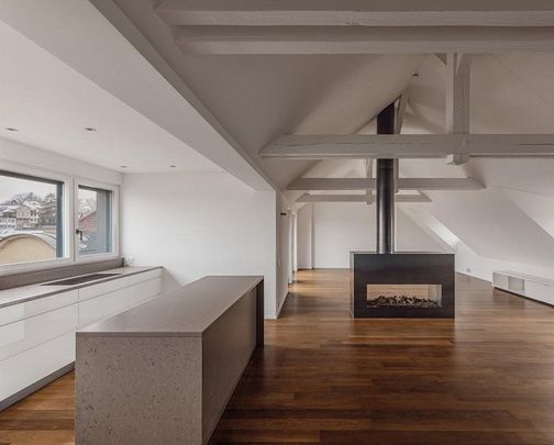 Einzigartige 2.5-Zimmer-Wohnung mit Panoramablick über Zürcher Skyline - Photo 1