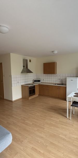 Kawalerka na wynajem, Poznań - Jeżyce - Фото 1