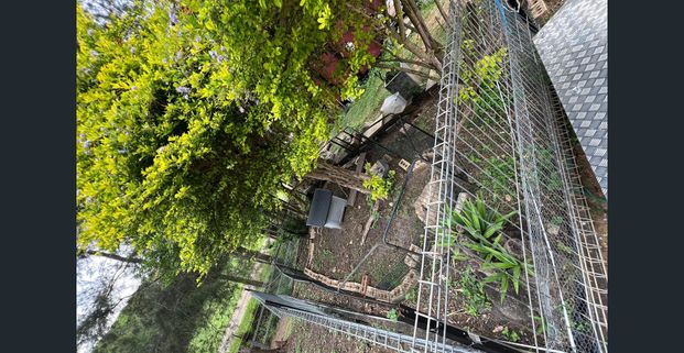 Country Living - unique property - Photo 1