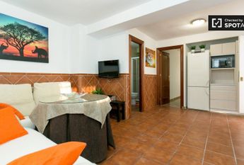 granada, Andalusia 18010