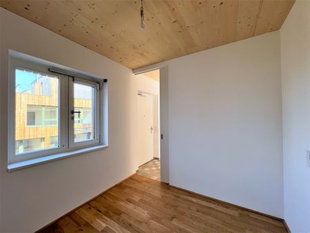 Neubau in Massivholzbauweise - Photo 3