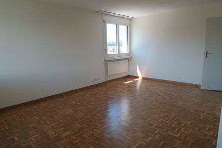 2.5 Zimmer, 57 m², 11. Stock - Photo 2