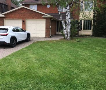 For Lease - 155 Highland Crescent Unit# Lower, Toronto, Ontario - Photo 5