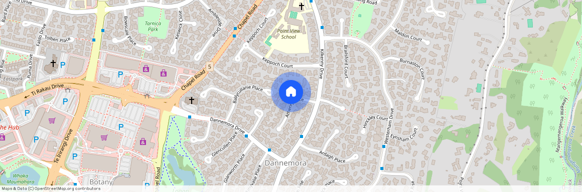 11 Athenry Place, Manukau City, Dannemora