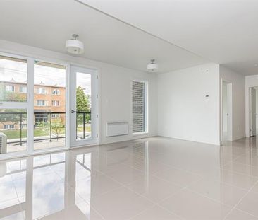 495 Av. Delmar - Photo 6