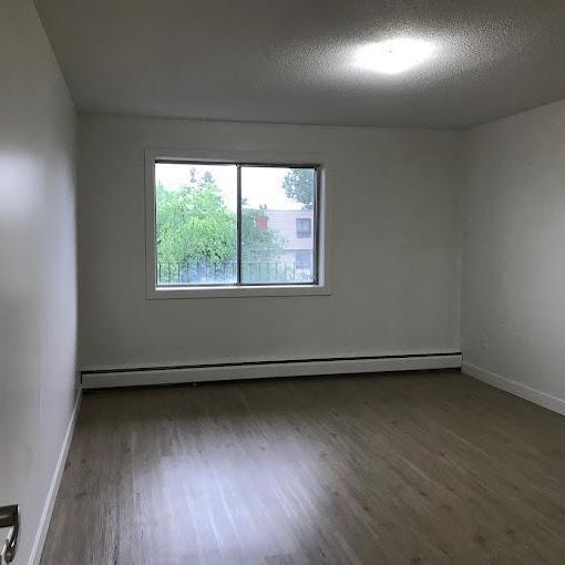 Premier Suite - 1 Bedroom - Photo 1