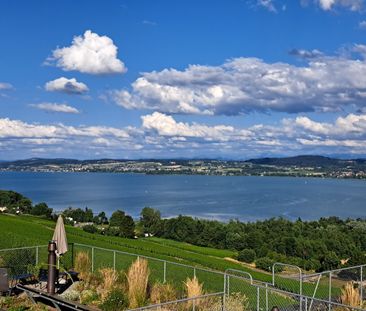 BAS DE CHAUX 1, Appartement de 2.5 pièces à la vue imprenable - N12 - Foto 3