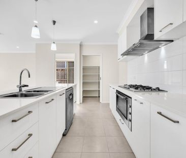 Modern Family Living in Sought-After Fraser Rise - Photo 1