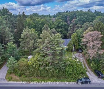 For Lease - 14170 Yonge Street Unit# Unit A, Aurora, Ontario - Photo 3