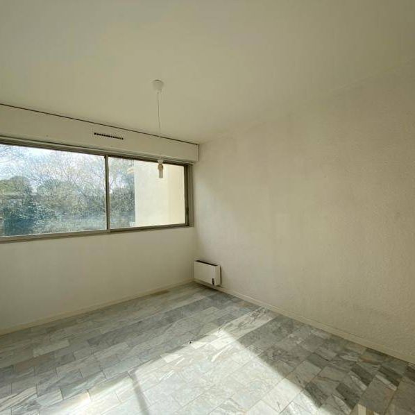 Location appartement 4 pièces 77.07 m² à Montpellier (34000) - Photo 1