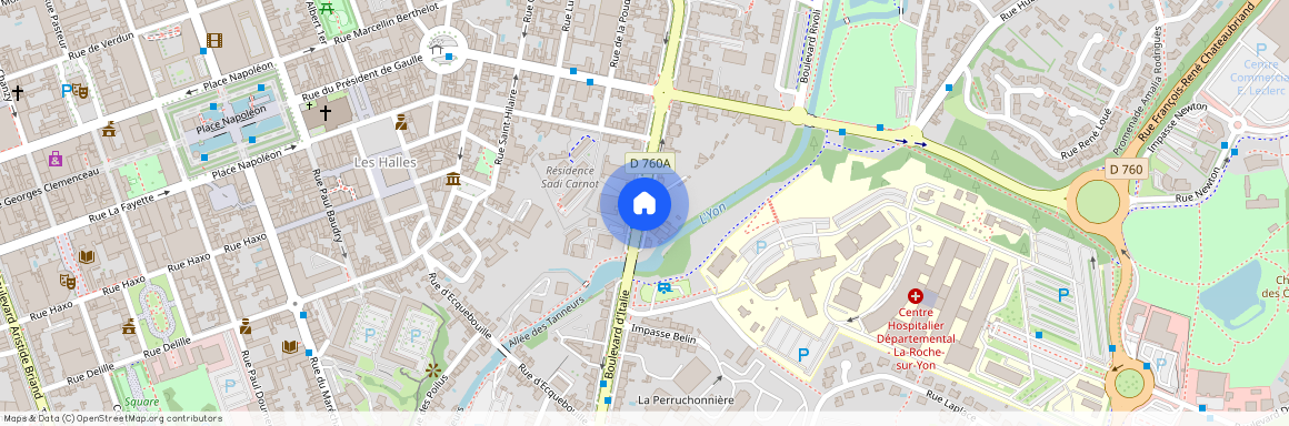 LA ROCHE SUR YON (85000)