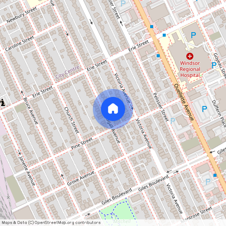 1076 DOUGALL AVENUE Unit# MAIN, Windsor