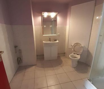 Location Appartement 1 pièce 42m² RUMILLY 74150 - Photo 3