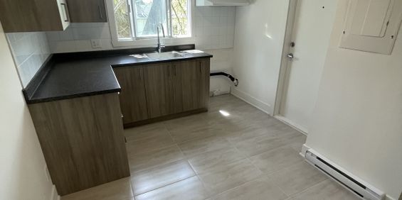 4 1/2 RÉNOVÉ À LONGUEUIL - Photo 3