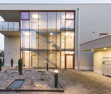 Eine schöne und moderne 3.5 Zimmerwohnung in Luterbach zu vermieten - Photo 3