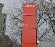 For Lease - 8 Big Red Avenue Unit# Lower, Toronto, Ontario - Photo 4