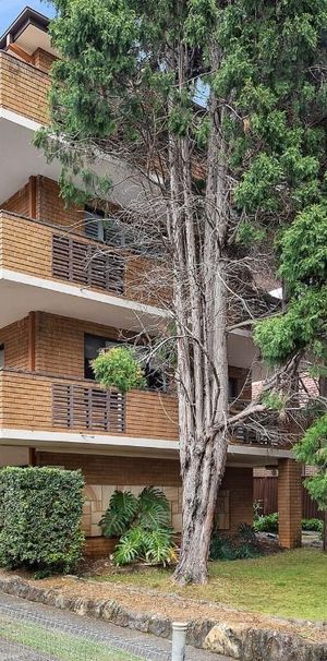 1/34 Morwick Street, Strathfield NSW 2135 - House For Rent | Domain - Photo 1