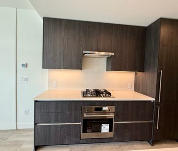 Brand New 1 Bdrm facing South w/ Lakeview at Water St by the Park - Photo 4
