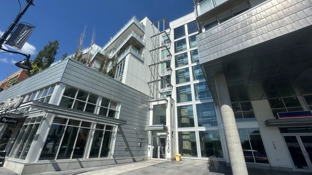Modern Comfort & Rooftop Oasis In Historic Inglewood - Photo 1