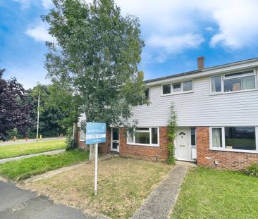 3 bedroom terraced house to rent - Photo 5