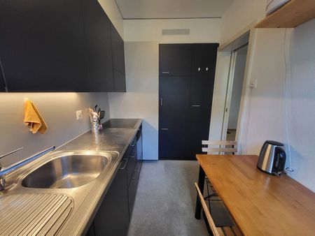 21/2-ROOM APARTMENT IN BERN - FELSENAU, FURNISHED, TEMPORARY - Photo 2