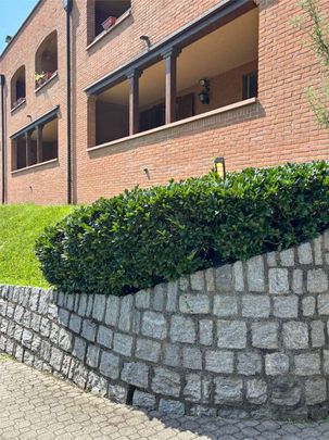 Lake view apartment in residence with swimming pool in Savosa - Foto 1