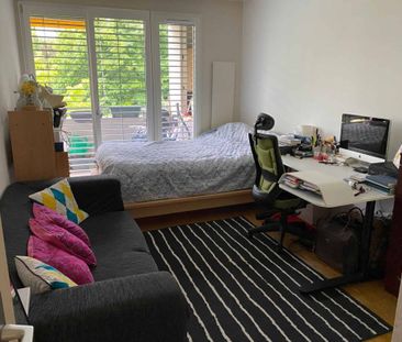 Chemin Gilbert-Trolliet 10, 1209 Genève - Photo 6