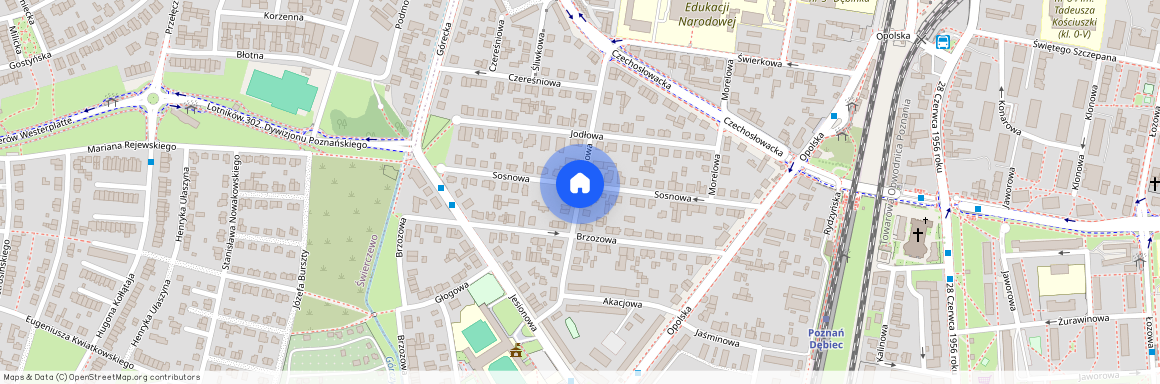 ul. Modrzewiowa, Dębiec, Wilda, Poznań, wielkopolskie