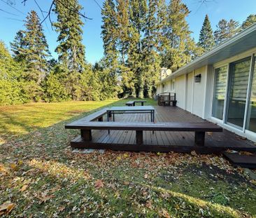 For Lease - 2417 Mississauga Road Unit# Main, Mississauga, Ontario - Photo 5