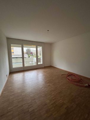 Renovated 2-room apartment - Foto 1
