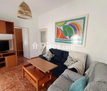 Piso en alquiler en Pajaritos - Foto 3